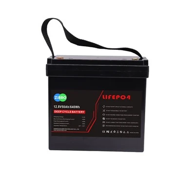 BẮC Li-FePO4 12V 50AH có BMS