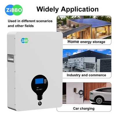 PowerWall Lifepo4 Pin 100AH ​​48V